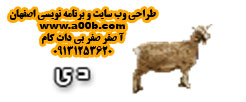 طالع بینی زن متولد دی ماه طالع بینی زن متولد دی ماه