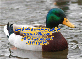 اردک اردک