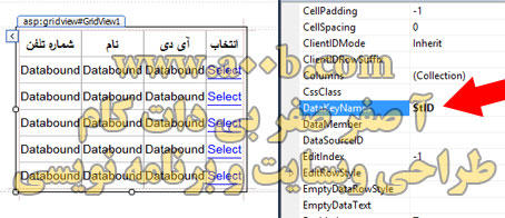 تنظیم DataKeyNames در گرید ویو